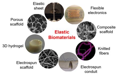  Elastin Biyomalzeminin Kullanım Alanları ve Üretim Teknikleri: Uzman Bakış Açısıyla Bir Değerlendirme!