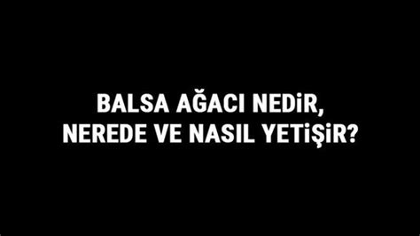  Balsa Ağacı Kompoziti: Uçan Makinalarda ve Spor Ekipmanlarında Hafiflik ve Dayanıklılık Şampiyonu mu?