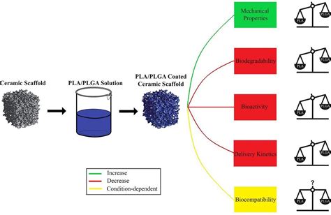 Elastomer Kullanımıyla Biyo-Uyumluluk ve Biyobozunurluk Arasındaki Zarif Dengeler!