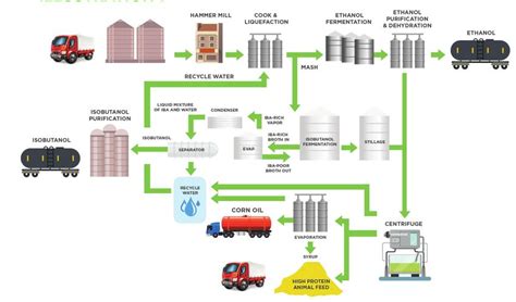  Isobutanol - Biyolojik ve Petrol Bazlı Üretim Süreçleri: Bir Bakış!