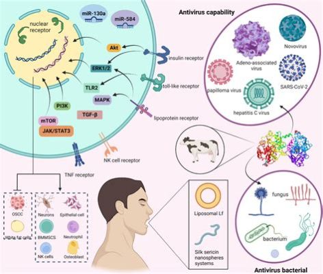  Lactoferrin Kullanımı Biyoteknolojik Uygulamalarda Dönüşüm Getiriyor mu?