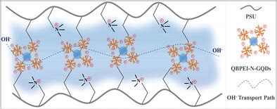 Quaternized Polyethyleneimine: Yüksek Performanslı Su Özelleştirici İçin İdeal Bir Çözüm mü?