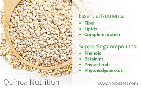  Quinoa Protein: İleri Teknolojiler İçin Sürdürülebilir Bir Besleyici Çözüm Mü?