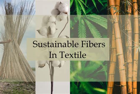  Woolly Fibers: Decoding the Industrial Textile Giant and Its Role in Sustainable Material Innovation!