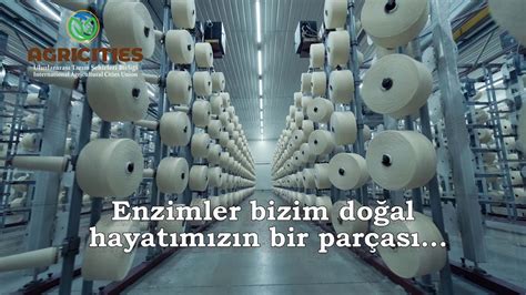  Yams: Nişasta Üretiminin Gizli Kahramanı mı? Endüstriyel Uygulamalarında Bir Devrim mi Yaşıyoruz?!